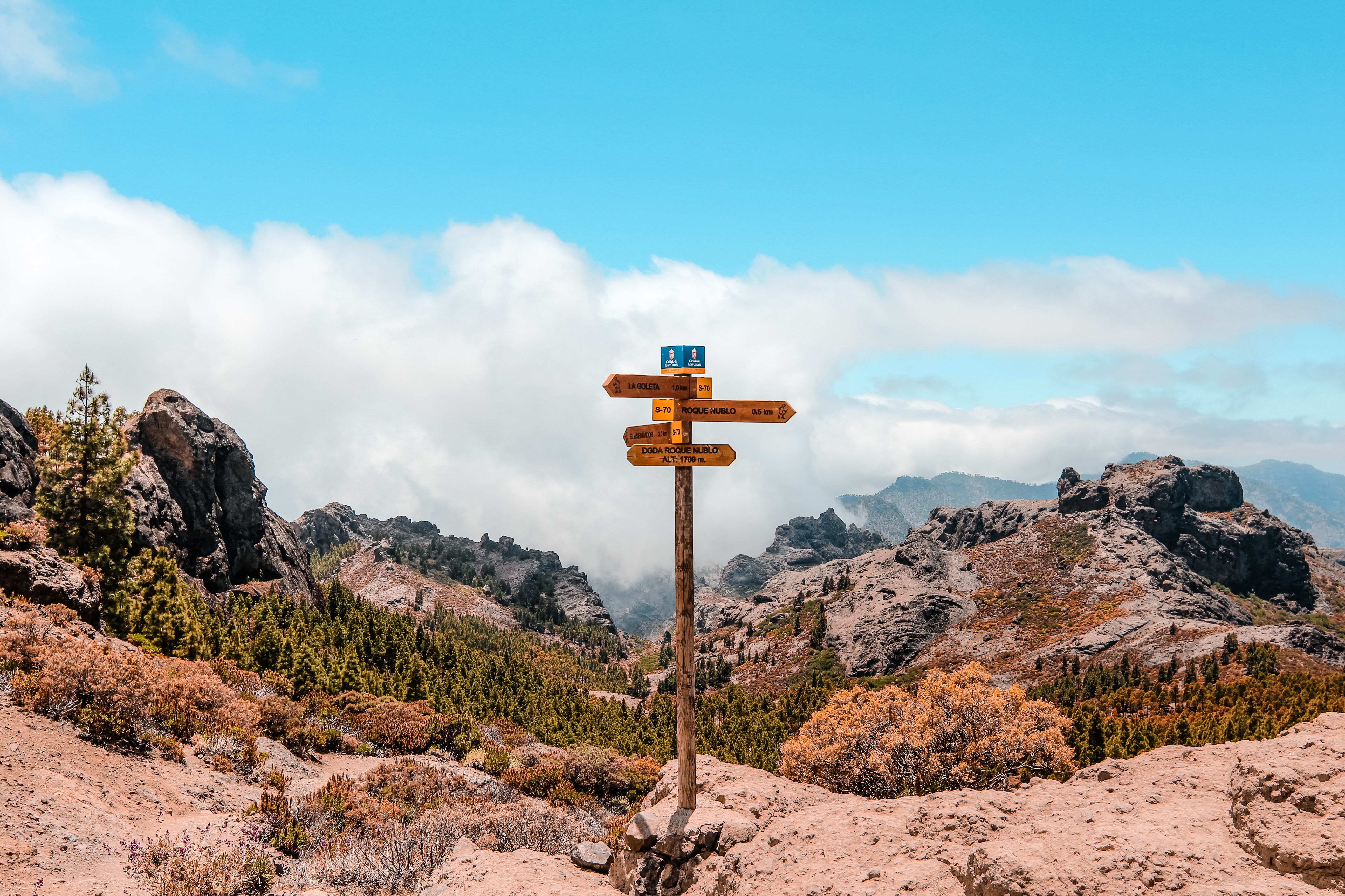 Navigation in React App using React Router (v6) | CodingDeft.com